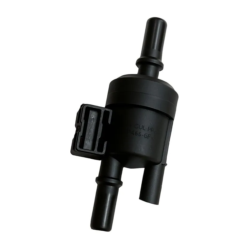 Válvula EVAP (purga del canister)